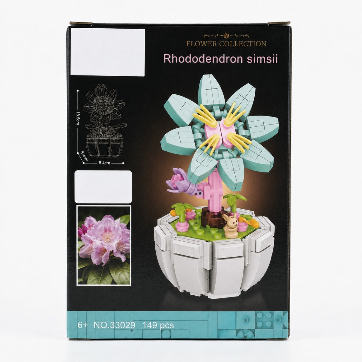 FC Rhododendron simsii - BBS - 149 PCS
