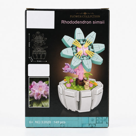 FC Rhododendron simsii - BBS - 149 PCS