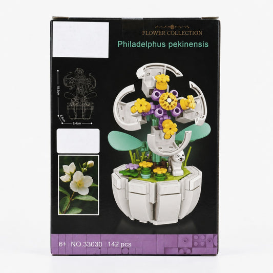 FC Philadelphus pekinensis- BBS - 142 PCS